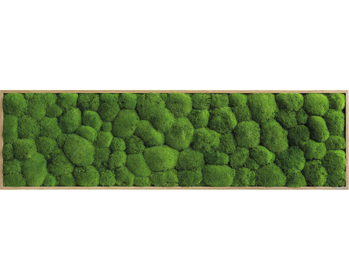 Tableau végétal en mousse boule cadre aspect chêne 140x40 cm