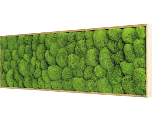 Moosbild mit Holzrahmen