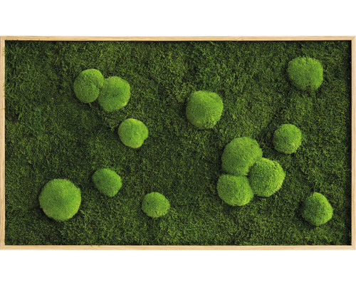 Tableau végétal forêt et mousse boule cadre aspect chêne 100x60 cm