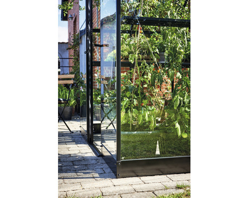 Vue extérieure d''une serre avec des plantes