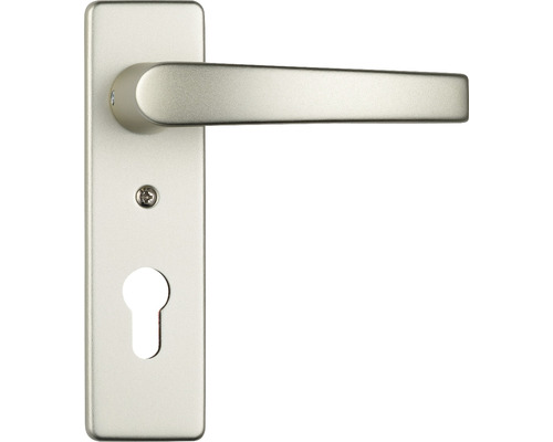 Poignée de porte métallique avec trou de serrure