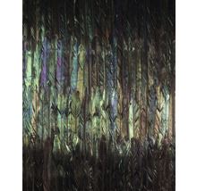 Papier peint panoramique intissé X4-1081 Dark Wings 4 pces 200 x 250 cm
