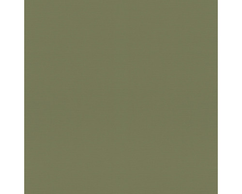 Papier peint intissé 687538 Tropical House uni vert Arrière-plan uni
