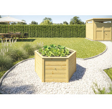 Hochbeet aus Holz mit Salatpflanzen im Garten