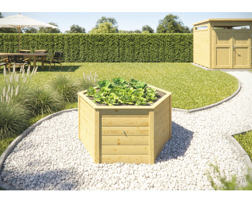 Jardinière surélevée classique hexagonale weka 143 x 143 x 68,5 cm naturel Jardinière surélevée en bois avec des plants de salade dans le jardin