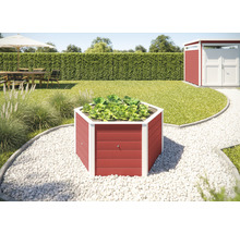 Jardinière hexagonale en bois avec des salades dans le jardin.