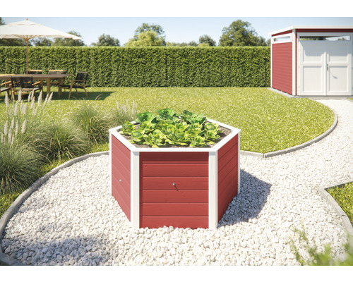 Jardinière surélevée classique hexagonale weka 144 x 143 x 68,5 cm rouge Jardinière hexagonale en bois avec des salades dans le jardin.