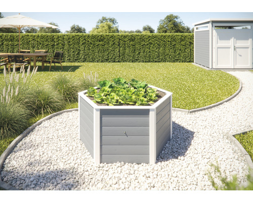 Jardinière surélevée classique hexagonale weka 145 x 143 x 68,5 cm gris Jardinière surélevée hexagonale en bois avec des plants de salade dans le jardin