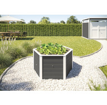 Hochbeet aus Holz mit Salatpflanzen im Garten