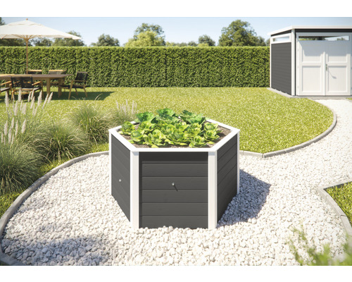 Jardinière surélevée classique hexagonale weka 146 x 143 x 68,5 cm anthracite