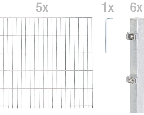 Ensemble de panneaux rigides double fils ALBERTS 6/5/6 1000 x 100 cm galvanisé à chaud