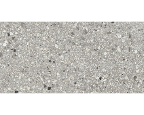 Échantillon de grès cérame fin FLAIRSTONE Terrazzo Grigio 20 x 20 cm