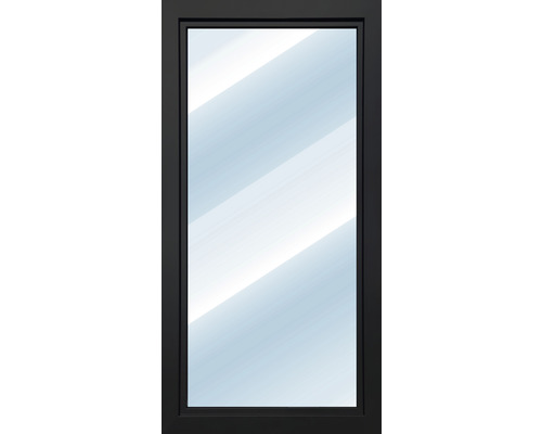 Porte en verre avec cadre foncé