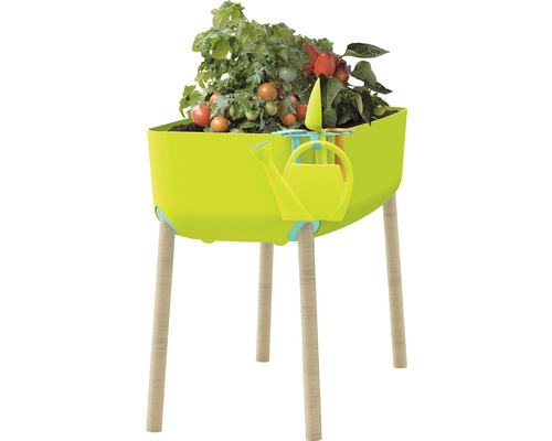 Jardinière surélevée avec plants de tomates et outils de jardinage