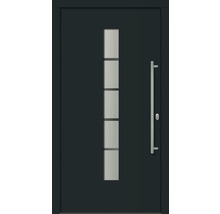 Moderne Haustür mit Glaseinsatz und Griff