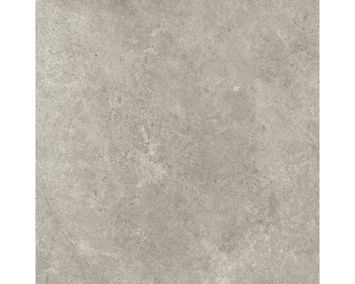 Feinsteinzeug Wand- und Bodenfliese Montreal 59,7 x 59,7 cm silver matt