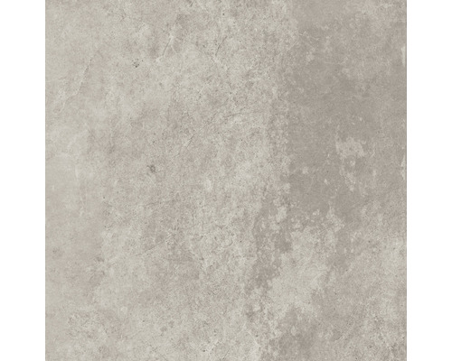 Feinsteinzeug Wand- und Bodenfliese Montreal 59,7 x 59,7 cm silver lapp