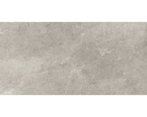 Carrelage sol et mur en grès cérame fin Montreal 59,7 x 119,7 cm silver mat