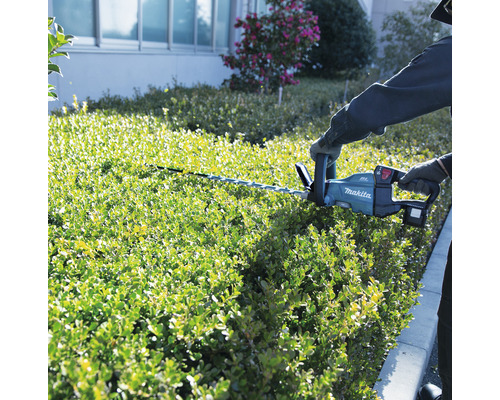 Une personne taille une haie avec un taille-haie sans fil Makita.