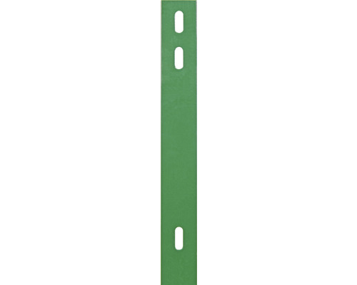 Fer plat ALBERTS pour panneaux rigides double fil 40x4 mm 1260 mm distance de perçage 400 mm vert