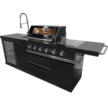Cuisine de grillade noire complète avec évier, réfrigérateur, plaque de cuisson et grill