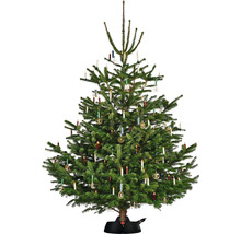 Sapin de Noël décoré avec des bougies et des ornements dans un support pour sapin de Noël