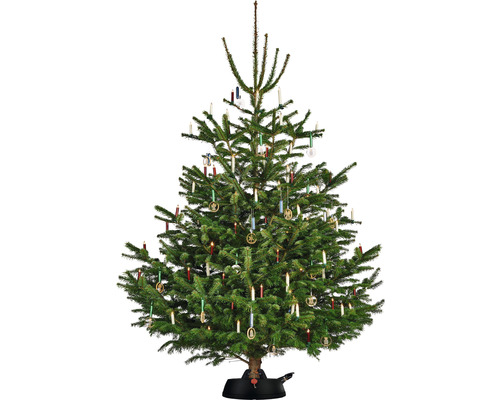 Sapin de Noël décoré avec des bougies et des ornements dans un support pour sapin de Noël