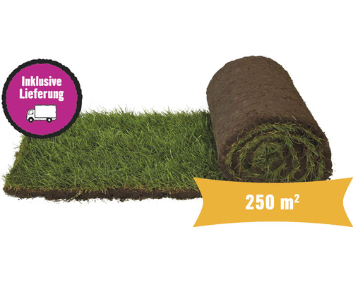 Rollrasen mit 250 Quadratmeter Fläche