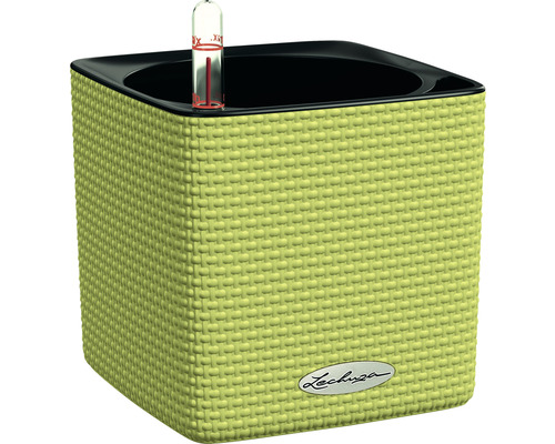 Pot de fleurs Lechuza Cube Color plastique 14x14x14 cm vert limette avec système d'arrosage en terre et indicateur de niveau d'eau