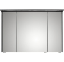 Spiegelschrank Pelipal xpressline 3261 105 x 16 x 72 cm grau 3-türig LED