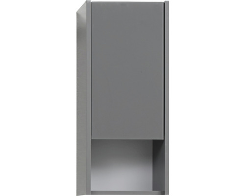 Armoire suspendue Pelipal xpressline 3261 gris avec façade vitrée lxhxp 30 x 70 x 16 cm