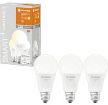 Lot de trois ampoules LEDVANCE Smart+