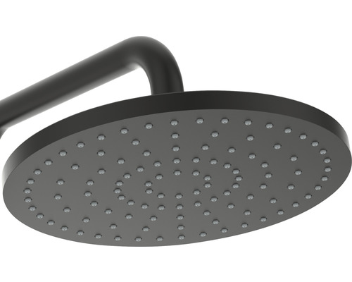 Pomme de douche de tête ronde