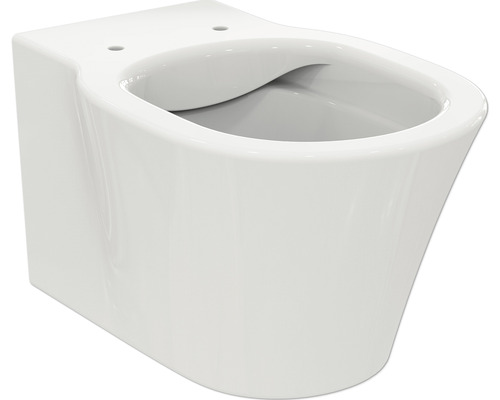 Ensemble WC à poser Basic évacuation horizontale blanc - HORNBACH Luxembourg