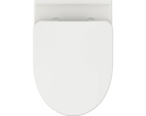 Toilettendeckel aus Kunststoff