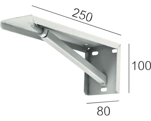 Regalträger mit den Maßen 250 x 100 x 80 Millimeter.