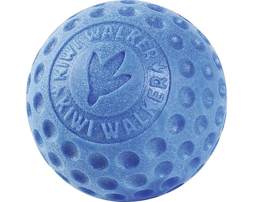 Blauer Hundeball mit Noppen und Logo