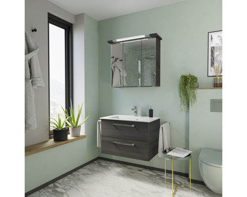 Salle de bains avec meuble sous-lavabo, armoire de toilette et WC