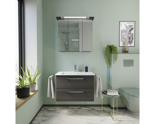 Salle de bains avec meuble sous-lavabo, armoire de toilette, WC et décoration