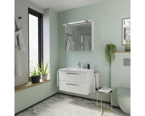 Badezimmer mit Waschbeckenunterschrank, Spiegelschrank und Dekoration