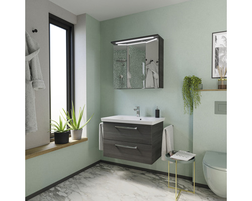 Badezimmer mit Waschbeckenunterschrank, Spiegelschrank, Toilette und Dekoration