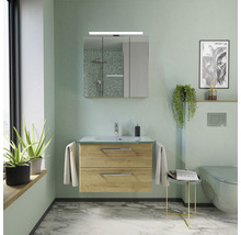 Salle de bains lumineuse avec lavabo, armoire de toilette et décoration