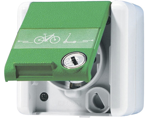 Prise de courant Jung 820 GN NAWSLEB avec symbole de charge pour vélo électrique + couvercle rabattable + zone d'inscription + cadenas de sécurité IP44 gris/vert