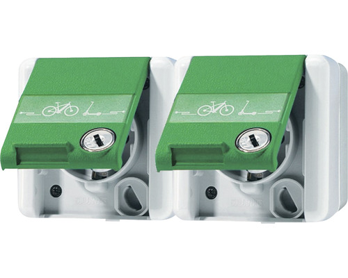 Prise de courant Jung 8220 GN NAWSLEB 2 emplacements avec symbole de charge pour vélo électrique + couvercle rabattable + zone d'inscription + cadenas de sécurité IP44 gris/vert