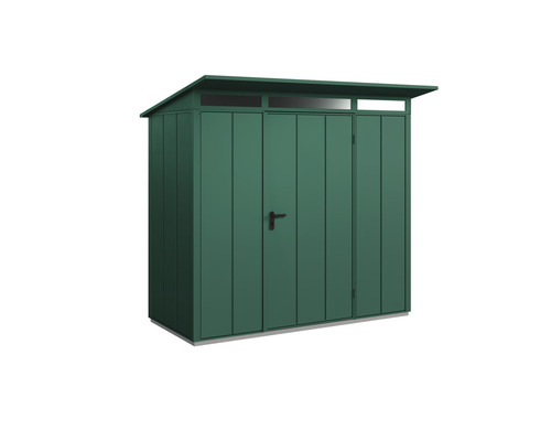 Abri de jardin Hörmann EcoStar Elegant-P type 1 RAL6005 porte à un vantail 238 x 107,8 cm vert