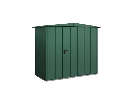 Abri de jardin Hörmann EcoStar Elegant-S type 1 RAL6005 porte à un vantail 258,8 x 121,3 cm vert