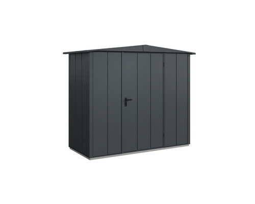 Abri de jardin Hörmann EcoStar Elegant-S type 1 RAL7016 porte à un vantail 258,8 x 121,3 cm anthracite