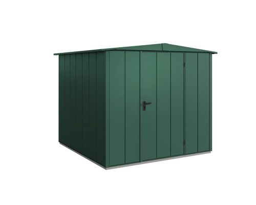 Abri de jardin Hörmann EcoStar Elegant-S type 2 RAL6005 porte à un vantail 258,8 x 247,7 cm vert