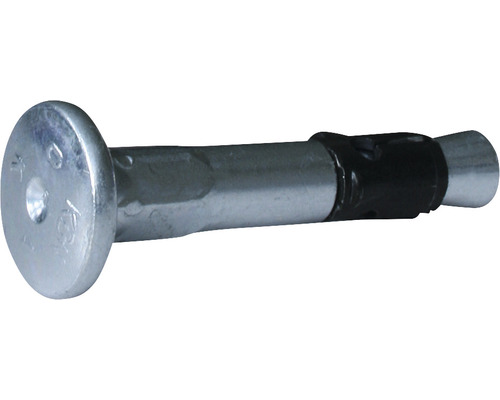 Clou pour plafond Knauf 6 mm x 30 mm paquet = 100 pces Ancre à boulon avec boulon