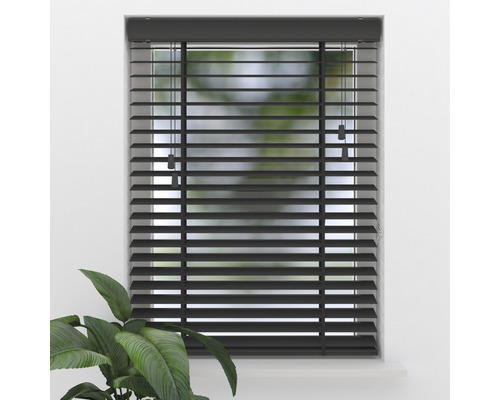 Schwarze Jalousie am Fenster mit Zimmerpflanze